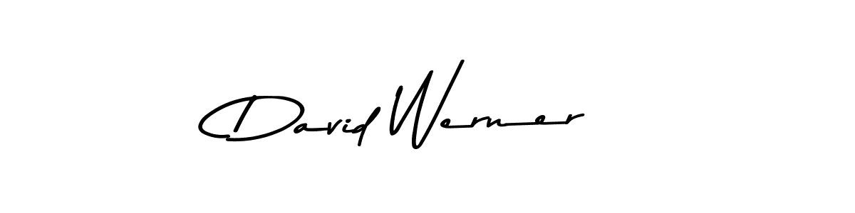 Make a beautiful signature design for name David Werner. With this signature (Asem Kandis PERSONAL USE) style, you can create a handwritten signature for free. David Werner signature style 9 images and pictures png