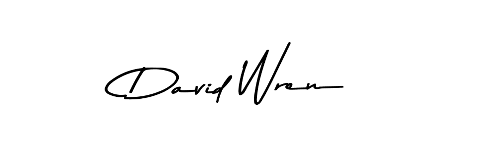 if you are searching for the best signature style for your name David Wren. so please give up your signature search. here we have designed multiple signature styles  using Asem Kandis PERSONAL USE. David Wren signature style 9 images and pictures png