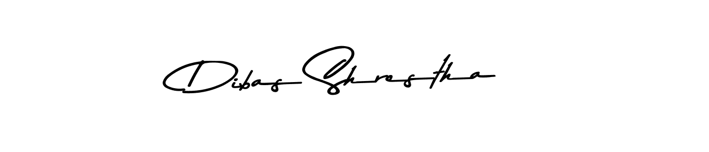 You should practise on your own different ways (Asem Kandis PERSONAL USE) to write your name (Dibas Shrestha) in signature. don't let someone else do it for you. Dibas Shrestha signature style 9 images and pictures png