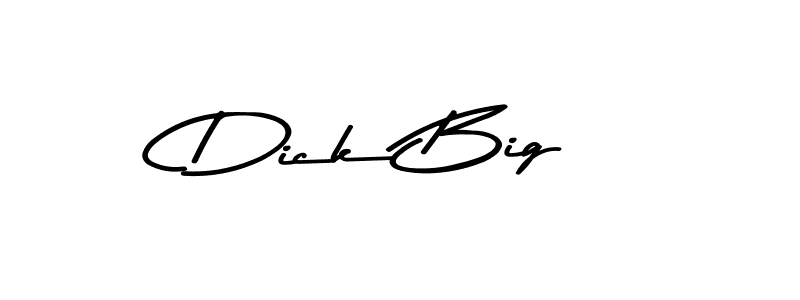 Make a beautiful signature design for name Dick Big. Use this online signature maker to create a handwritten signature for free. Dick Big signature style 9 images and pictures png