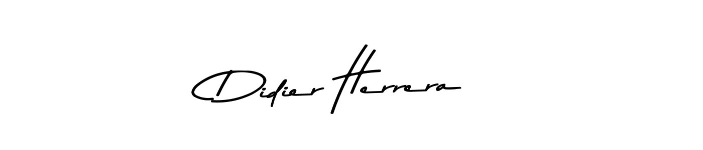 You should practise on your own different ways (Asem Kandis PERSONAL USE) to write your name (Didier Herrera) in signature. don't let someone else do it for you. Didier Herrera signature style 9 images and pictures png