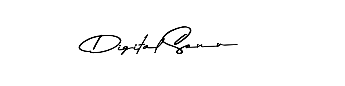 You can use this online signature creator to create a handwritten signature for the name Digital Sonu. This is the best online autograph maker. Digital Sonu signature style 9 images and pictures png