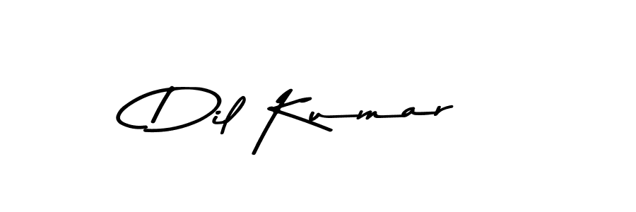 Make a beautiful signature design for name Dil Kumar. With this signature (Asem Kandis PERSONAL USE) style, you can create a handwritten signature for free. Dil Kumar signature style 9 images and pictures png
