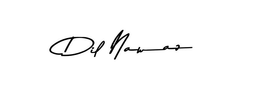 Use a signature maker to create a handwritten signature online. With this signature software, you can design (Asem Kandis PERSONAL USE) your own signature for name Dil Nawaz. Dil Nawaz signature style 9 images and pictures png