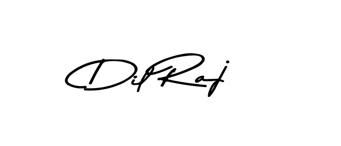 Dil Raj stylish signature style. Best Handwritten Sign (Asem Kandis PERSONAL USE) for my name. Handwritten Signature Collection Ideas for my name Dil Raj. Dil Raj signature style 9 images and pictures png