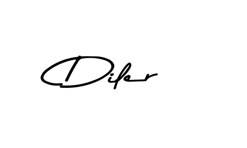 Here are the top 10 professional signature styles for the name Diler. These are the best autograph styles you can use for your name. Diler signature style 9 images and pictures png