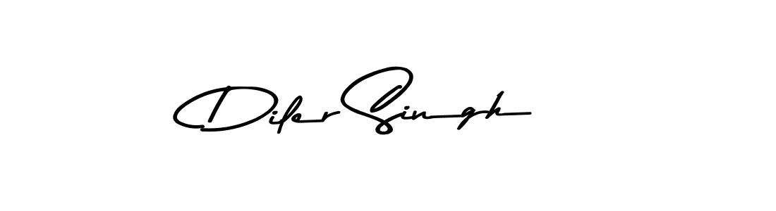 You should practise on your own different ways (Asem Kandis PERSONAL USE) to write your name (Diler Singh) in signature. don't let someone else do it for you. Diler Singh signature style 9 images and pictures png