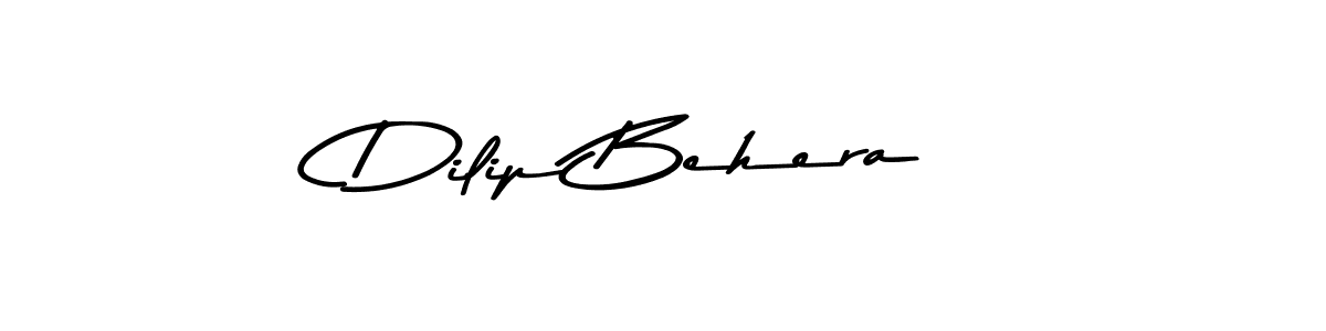 Use a signature maker to create a handwritten signature online. With this signature software, you can design (Asem Kandis PERSONAL USE) your own signature for name Dilip Behera. Dilip Behera signature style 9 images and pictures png