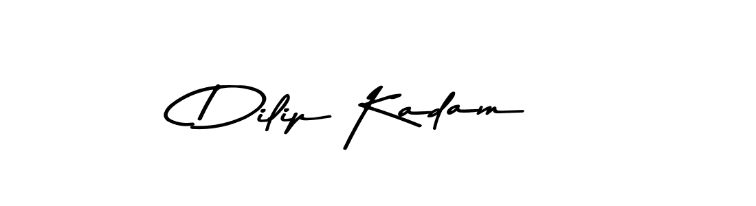 Dilip Kadam stylish signature style. Best Handwritten Sign (Asem Kandis PERSONAL USE) for my name. Handwritten Signature Collection Ideas for my name Dilip Kadam. Dilip Kadam signature style 9 images and pictures png