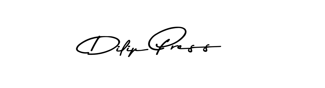 You should practise on your own different ways (Asem Kandis PERSONAL USE) to write your name (Dilip Press) in signature. don't let someone else do it for you. Dilip Press signature style 9 images and pictures png