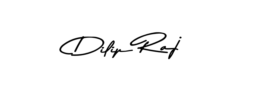 Dilip Raj stylish signature style. Best Handwritten Sign (Asem Kandis PERSONAL USE) for my name. Handwritten Signature Collection Ideas for my name Dilip Raj. Dilip Raj signature style 9 images and pictures png