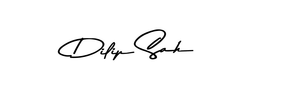 Once you've used our free online signature maker to create your best signature Asem Kandis PERSONAL USE style, it's time to enjoy all of the benefits that Dilip Sah name signing documents. Dilip Sah signature style 9 images and pictures png