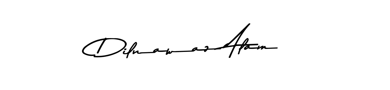Dilnawaz Alam stylish signature style. Best Handwritten Sign (Asem Kandis PERSONAL USE) for my name. Handwritten Signature Collection Ideas for my name Dilnawaz Alam. Dilnawaz Alam signature style 9 images and pictures png