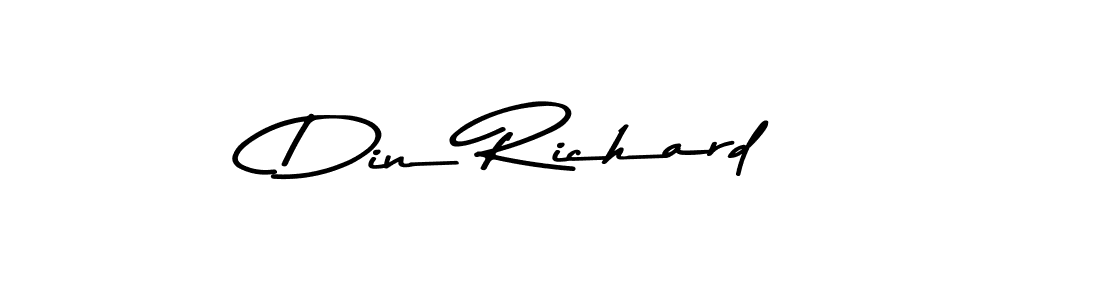 You can use this online signature creator to create a handwritten signature for the name Din Richard. This is the best online autograph maker. Din Richard signature style 9 images and pictures png