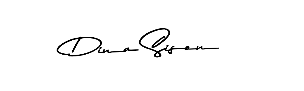 You should practise on your own different ways (Asem Kandis PERSONAL USE) to write your name (Dina Sison) in signature. don't let someone else do it for you. Dina Sison signature style 9 images and pictures png
