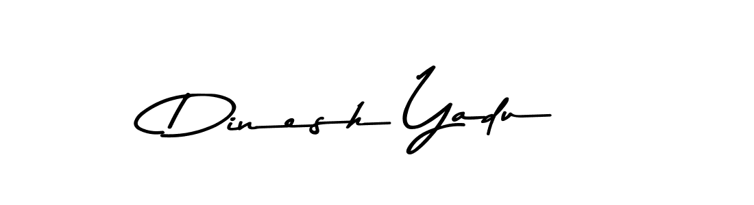 Make a beautiful signature design for name Dinesh Yadu. Use this online signature maker to create a handwritten signature for free. Dinesh Yadu signature style 9 images and pictures png