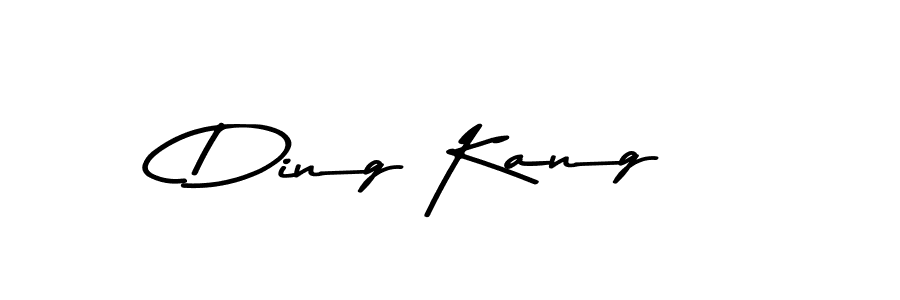 You should practise on your own different ways (Asem Kandis PERSONAL USE) to write your name (Ding Kang) in signature. don't let someone else do it for you. Ding Kang signature style 9 images and pictures png