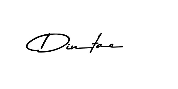 You should practise on your own different ways (Asem Kandis PERSONAL USE) to write your name (Dintae) in signature. don't let someone else do it for you. Dintae signature style 9 images and pictures png