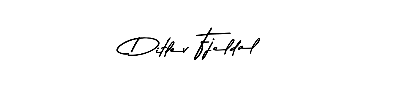 Similarly Asem Kandis PERSONAL USE is the best handwritten signature design. Signature creator online .You can use it as an online autograph creator for name Ditlev Fjeldal. Ditlev Fjeldal signature style 9 images and pictures png