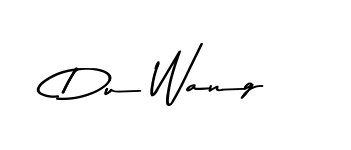 Du Wang stylish signature style. Best Handwritten Sign (Asem Kandis PERSONAL USE) for my name. Handwritten Signature Collection Ideas for my name Du Wang. Du Wang signature style 9 images and pictures png