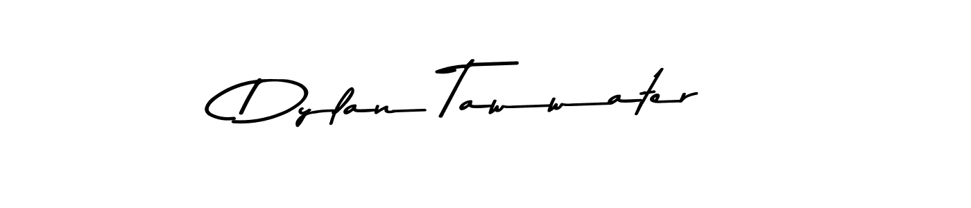 The best way (Asem Kandis PERSONAL USE) to make a short signature is to pick only two or three words in your name. The name Dylan Tawwater include a total of six letters. For converting this name. Dylan Tawwater signature style 9 images and pictures png