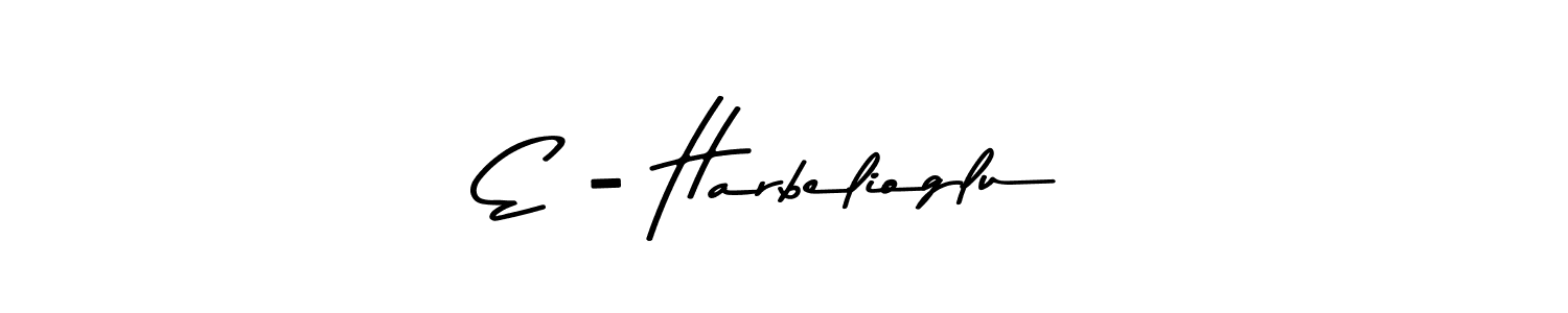 You should practise on your own different ways (Asem Kandis PERSONAL USE) to write your name (E - Harbelioglu) in signature. don't let someone else do it for you. E - Harbelioglu signature style 9 images and pictures png