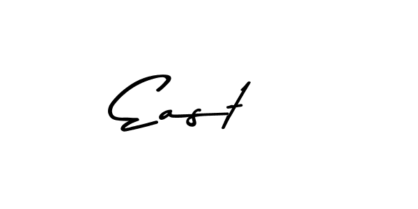 Similarly Asem Kandis PERSONAL USE is the best handwritten signature design. Signature creator online .You can use it as an online autograph creator for name East  . East   signature style 9 images and pictures png