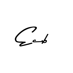 You should practise on your own different ways (Asem Kandis PERSONAL USE) to write your name (Ecb) in signature. don't let someone else do it for you. Ecb signature style 9 images and pictures png