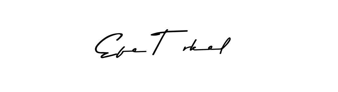 You can use this online signature creator to create a handwritten signature for the name Efe Türkel. This is the best online autograph maker. Efe Türkel signature style 9 images and pictures png