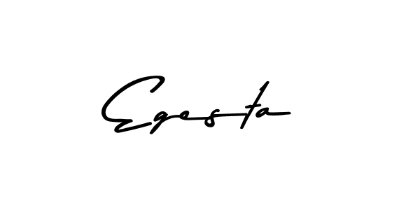 Similarly Asem Kandis PERSONAL USE is the best handwritten signature design. Signature creator online .You can use it as an online autograph creator for name Egesta. Egesta signature style 9 images and pictures png