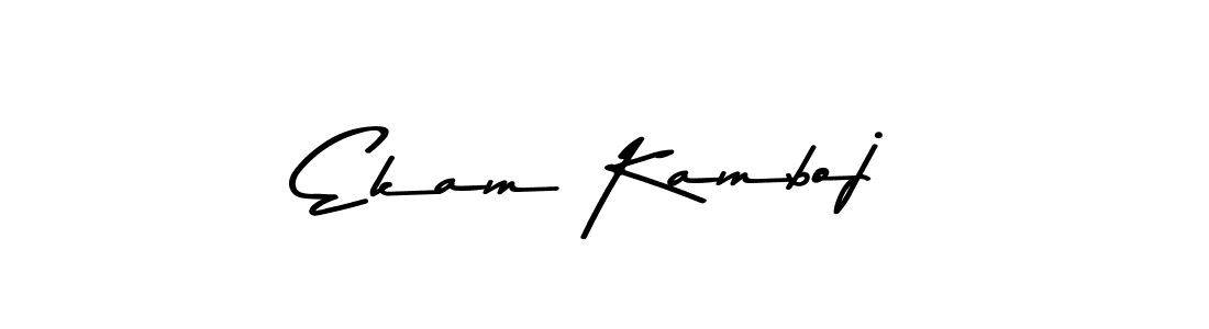 Use a signature maker to create a handwritten signature online. With this signature software, you can design (Asem Kandis PERSONAL USE) your own signature for name Ekam Kamboj. Ekam Kamboj signature style 9 images and pictures png