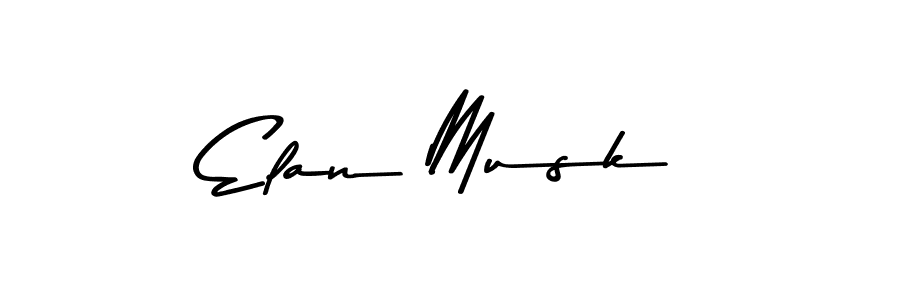 You should practise on your own different ways (Asem Kandis PERSONAL USE) to write your name (Elan Musk) in signature. don't let someone else do it for you. Elan Musk signature style 9 images and pictures png