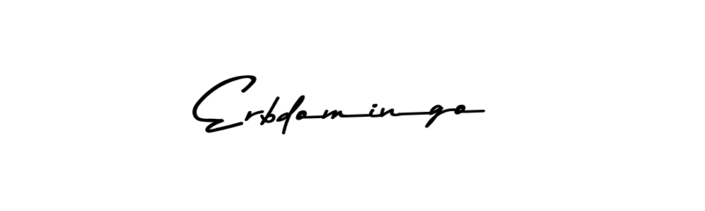 You should practise on your own different ways (Asem Kandis PERSONAL USE) to write your name (Erbdomingo) in signature. don't let someone else do it for you. Erbdomingo signature style 9 images and pictures png