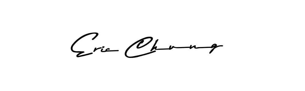 You should practise on your own different ways (Asem Kandis PERSONAL USE) to write your name (Eric Chung) in signature. don't let someone else do it for you. Eric Chung signature style 9 images and pictures png
