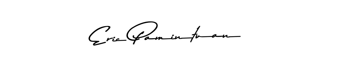 Make a beautiful signature design for name Eric Pamintuan. Use this online signature maker to create a handwritten signature for free. Eric Pamintuan signature style 9 images and pictures png