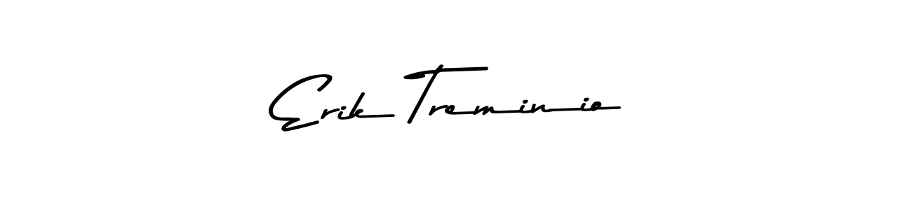 You should practise on your own different ways (Asem Kandis PERSONAL USE) to write your name (Erik Treminio) in signature. don't let someone else do it for you. Erik Treminio signature style 9 images and pictures png