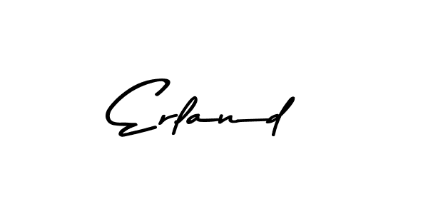 You should practise on your own different ways (Asem Kandis PERSONAL USE) to write your name (Erland) in signature. don't let someone else do it for you. Erland signature style 9 images and pictures png