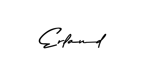 You should practise on your own different ways (Asem Kandis PERSONAL USE) to write your name (Erland) in signature. don't let someone else do it for you. Erland signature style 9 images and pictures png