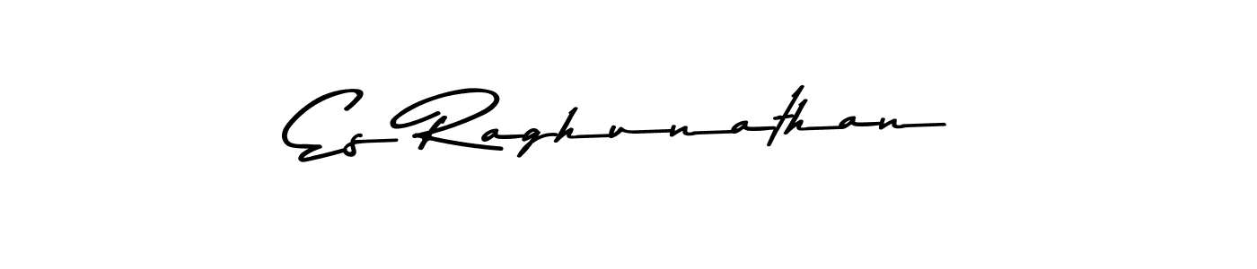 You should practise on your own different ways (Asem Kandis PERSONAL USE) to write your name (Es Raghunathan) in signature. don't let someone else do it for you. Es Raghunathan signature style 9 images and pictures png