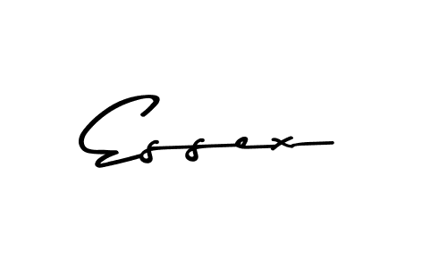 Make a beautiful signature design for name Essex. Use this online signature maker to create a handwritten signature for free. Essex signature style 9 images and pictures png