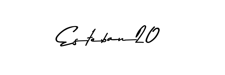 You should practise on your own different ways (Asem Kandis PERSONAL USE) to write your name (Esteban20) in signature. don't let someone else do it for you. Esteban20 signature style 9 images and pictures png