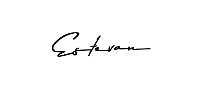 You should practise on your own different ways (Asem Kandis PERSONAL USE) to write your name (Estevan) in signature. don't let someone else do it for you. Estevan signature style 9 images and pictures png