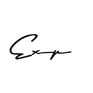You should practise on your own different ways (Asem Kandis PERSONAL USE) to write your name (Exp) in signature. don't let someone else do it for you. Exp signature style 9 images and pictures png