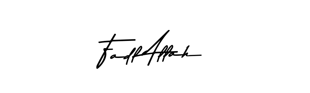 You should practise on your own different ways (Asem Kandis PERSONAL USE) to write your name (Fadl Allah) in signature. don't let someone else do it for you. Fadl Allah signature style 9 images and pictures png