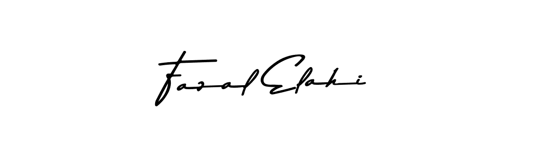 You should practise on your own different ways (Asem Kandis PERSONAL USE) to write your name (Fazal Elahi) in signature. don't let someone else do it for you. Fazal Elahi signature style 9 images and pictures png