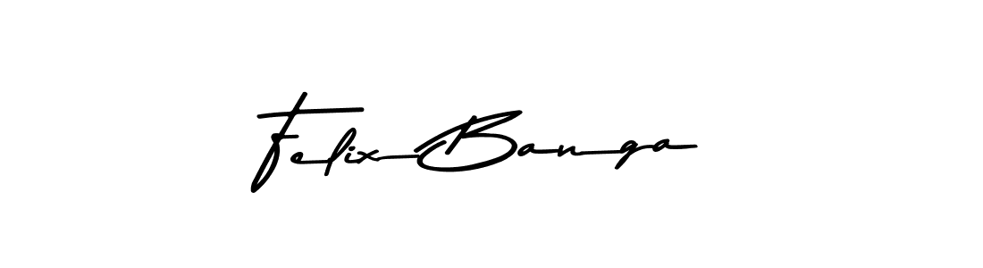 Here are the top 10 professional signature styles for the name Felix Banga. These are the best autograph styles you can use for your name. Felix Banga signature style 9 images and pictures png