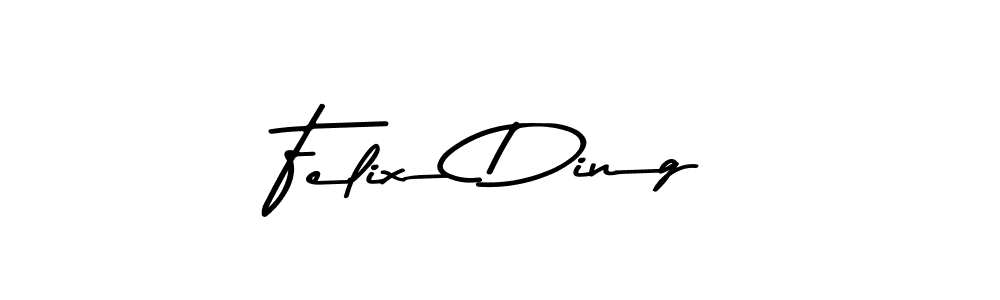 Similarly Asem Kandis PERSONAL USE is the best handwritten signature design. Signature creator online .You can use it as an online autograph creator for name Felix Ding. Felix Ding signature style 9 images and pictures png