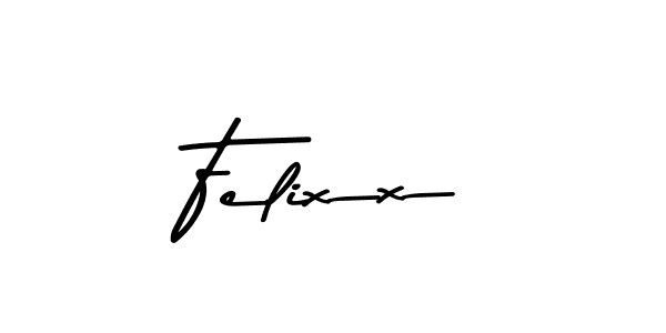 You should practise on your own different ways (Asem Kandis PERSONAL USE) to write your name (Felixx) in signature. don't let someone else do it for you. Felixx signature style 9 images and pictures png