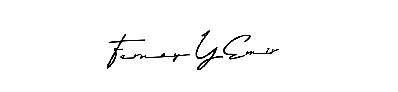 Make a beautiful signature design for name Ferney Y Emir. Use this online signature maker to create a handwritten signature for free. Ferney Y Emir signature style 9 images and pictures png