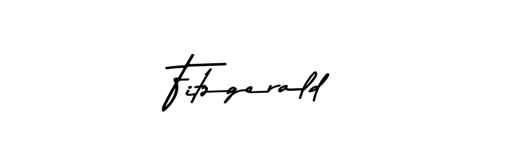 Fitzgerald stylish signature style. Best Handwritten Sign (Asem Kandis PERSONAL USE) for my name. Handwritten Signature Collection Ideas for my name Fitzgerald. Fitzgerald signature style 9 images and pictures png